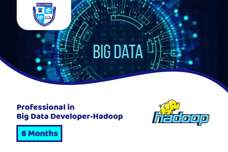 Sky Vision College Big Data Developer-Hadoop